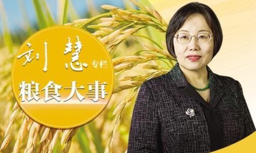 2周多宝宝老是抓破身体各个部位网-分享两岁宝宝一抓就起疙瘩，2岁宝宝一挠自己的皮肤就起很多疙瘩知识库